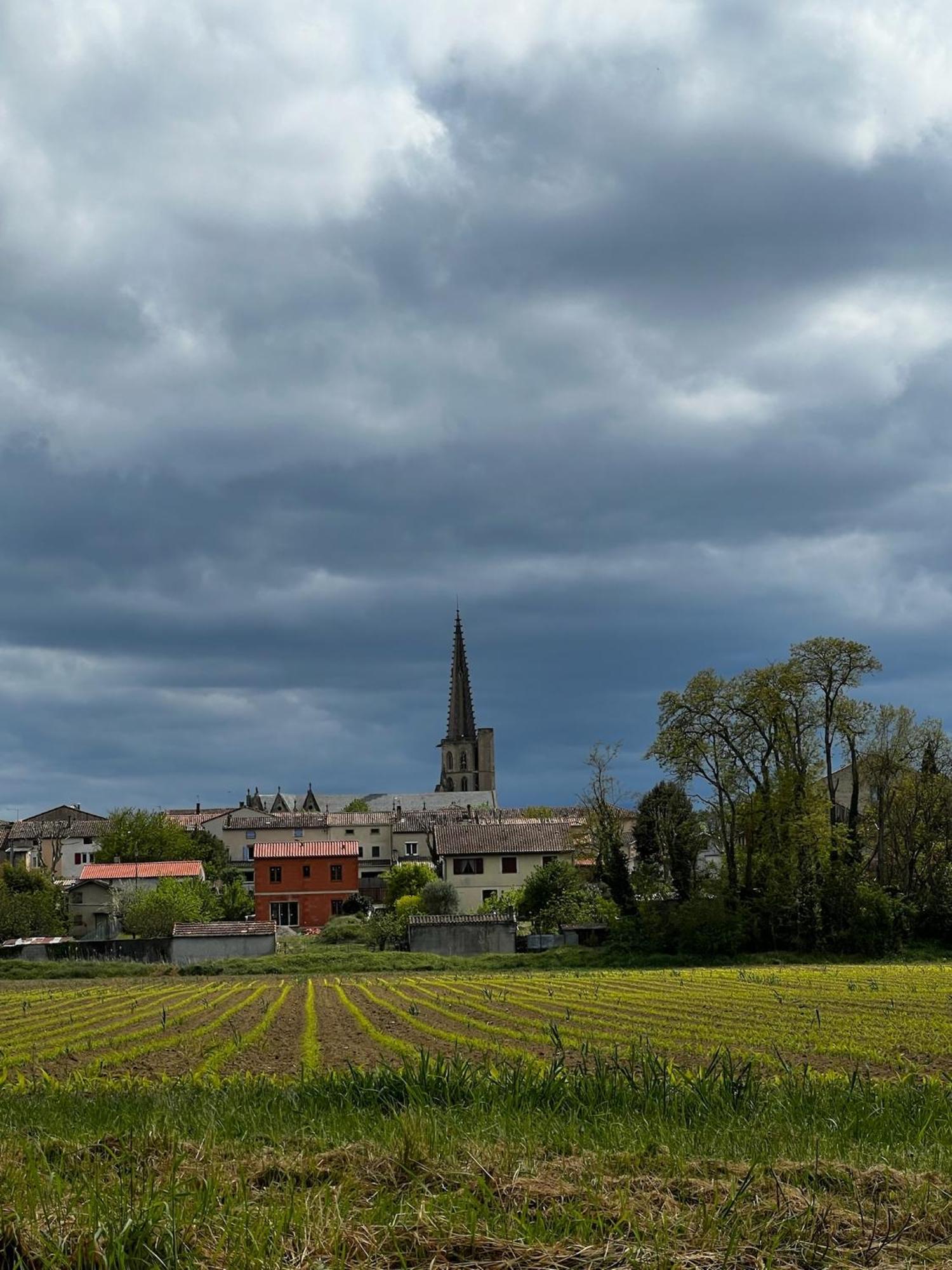 Sci Les Remparts De Mirepoix Bed & Breakfast Мирпоа Екстериор снимка